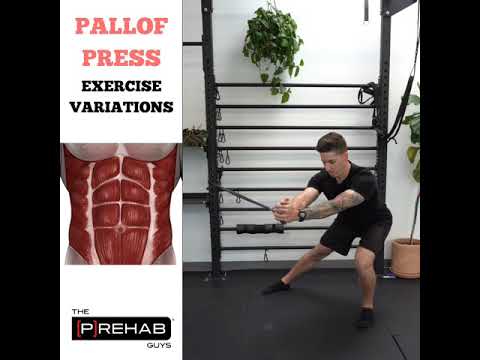 Pallof Press Exercise Variations