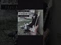 [free] metalcore x emotional type beat