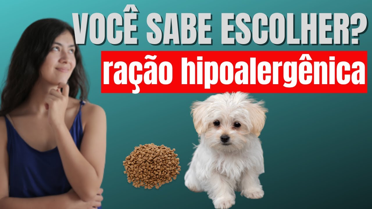 Ração Hipoalergênica em foco, O que você precisa saber - YouTube