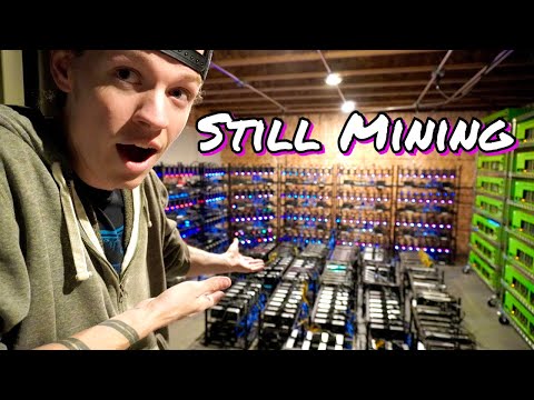 Getting these 16 Mining Rigs up and Mining!