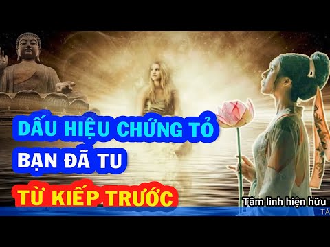 Video Lịch kiếp || Bạn đã tu tập từ kiếp trước??? #tutap - youtube