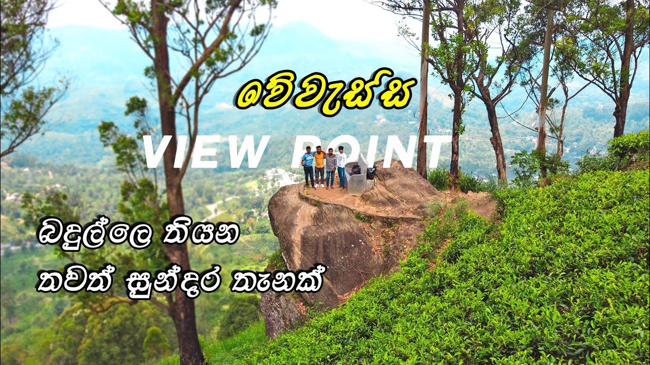 වේවැස්ස view point | බදුල්ලේ සැඟවුණු සුන්දරත්වය සොයා | Vevassa estate | sinhala vlog