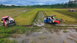 🚜👨‍🌾🌾 DC70 rice harvesting team