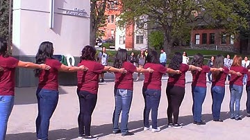 Lambda Theta Alpha, Delta Eta Chapter: Salute and Stroll 4/15/15