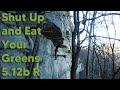 Shut up and eat your greens 512b r  headpointing in the gunks