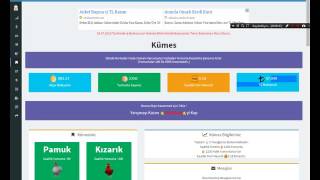 ÇILGIN TAVUKLAR BOT HİLE %100 ÇALIŞIYO screenshot 5
