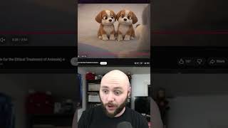 Investigating PETAs AI Slop #4