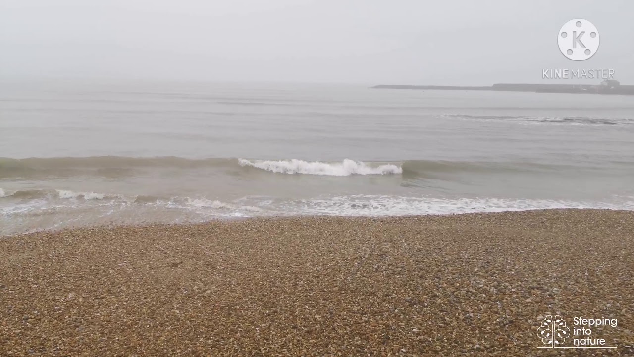 Virtual Walk - Uplyme to Lyme