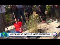Volunteers plant 200+ plants in Dania Beach to combat beach erosion