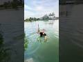 Trẻ trâu thả diều nhầm ao có rắn khổng lồ và cái kết #challenge