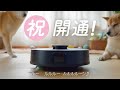 祝・開通！🎉　#ルンバミニ #小さくてパワフル #ルンバ #ロボット掃除機