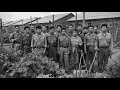 Japanese POWs Were Shocked When Americans Let Them Build Gardens