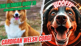 The Ultimate Guide to Cardigan Welsh Corgi: Everything You Need to Know by WoofTV 5 views 1 year ago 1 minute, 30 seconds