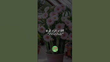 آيات من القرآن الكريم #قران_كريم #قرآن #المصحف #اكسبلور #quran#راحة_نفسية