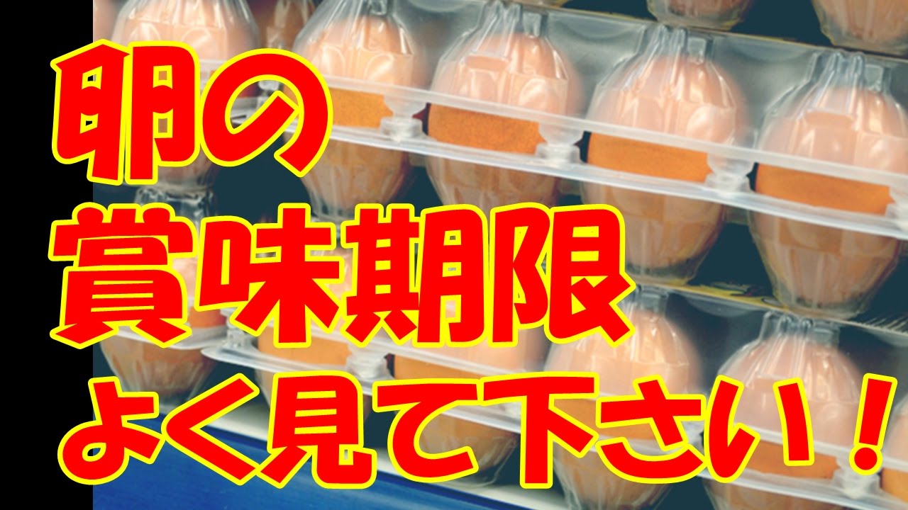 【衝撃】卵の「賞味期限」に隠されたズルい手口！知って得する