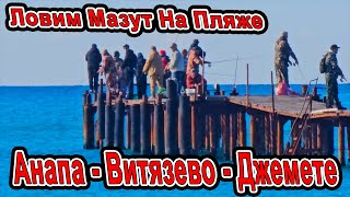 видео: #Анап ШОК ОПЯТЬ ЛОВИМ МАЗУТ! Витязево Паралия и Пляжи от Анапы до Джемете картинка: #Анап ШОК ОПЯТЬ ЛОВИМ МАЗУТ! Витязево Паралия и Пляжи от Анапы до Джемете