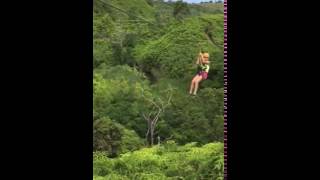 Zip Line