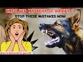 HOW DOG BITE ENDS HUMAN | AVOID THESE MISTAKES 🤯| HEALTH SIKSHA EP 02 PART 02