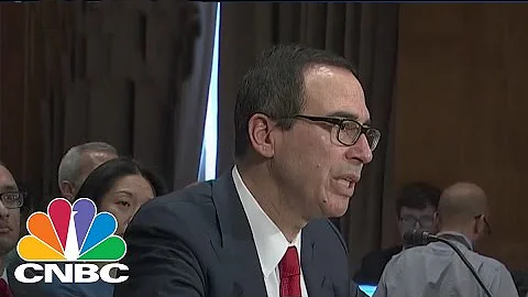 Elizabeth Warren And Treasury Secretary Steve Mnuc...