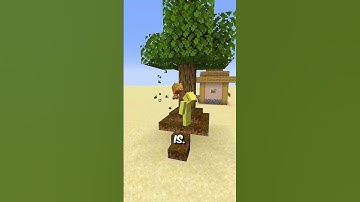 MINECRAFT, maar de wereld is gemaakt van drijvend zand! ⛏️ #shorts