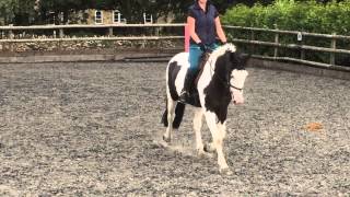 Theo flatwork
