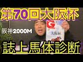 【誌上馬体診断】阪神芝2000M内Aコース
