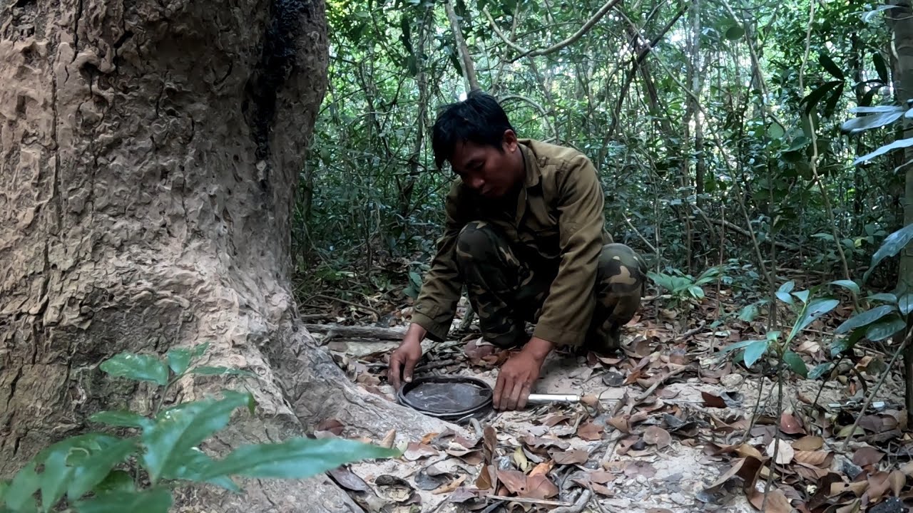 ย้ายที่กับดักหมูป่า