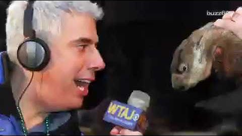 Groundhog Day 2019  Did the groundhog see his shadow