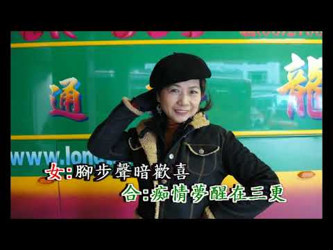 夢醒在三更 蔡小虎  - 翻唱 石素燕