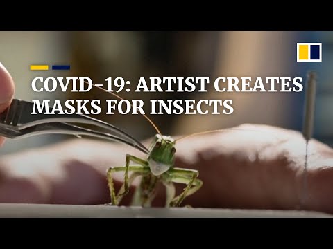 Russian artist creates masks to ‘protect’ insects from coronavirus