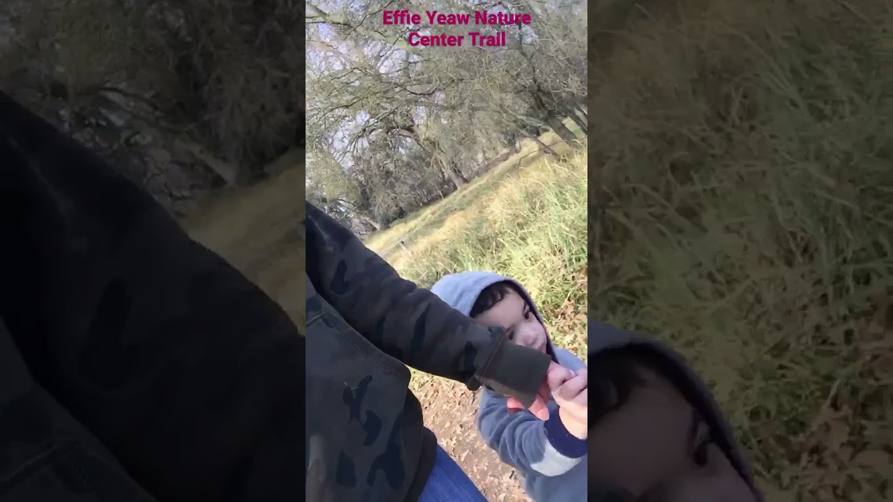 Hiking with my little man at Ancil Hoffman Park | Filipino- American baby