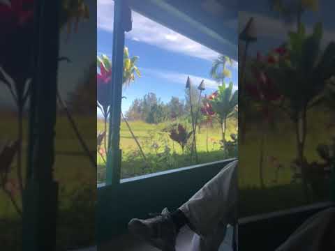 Morning coffee with Roseanne episode 1