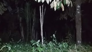 Live Misteri Malam Ini Lokasi Istana  Pontong