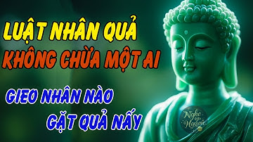 Luật Nhân Quả Không Chừa Một Ai - Gieo Nhân Nào Gặt Quả Nấy | Nghe Và Ngẫm #luậtnhânquả
