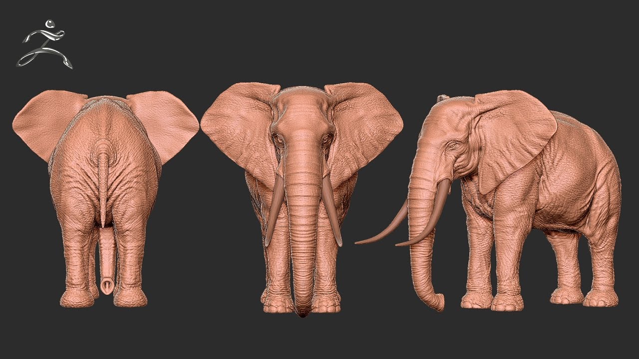 Elephant Zbrush sculpted