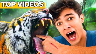 EXTREME DARES You Don't Want To Try! | Brent Rivera