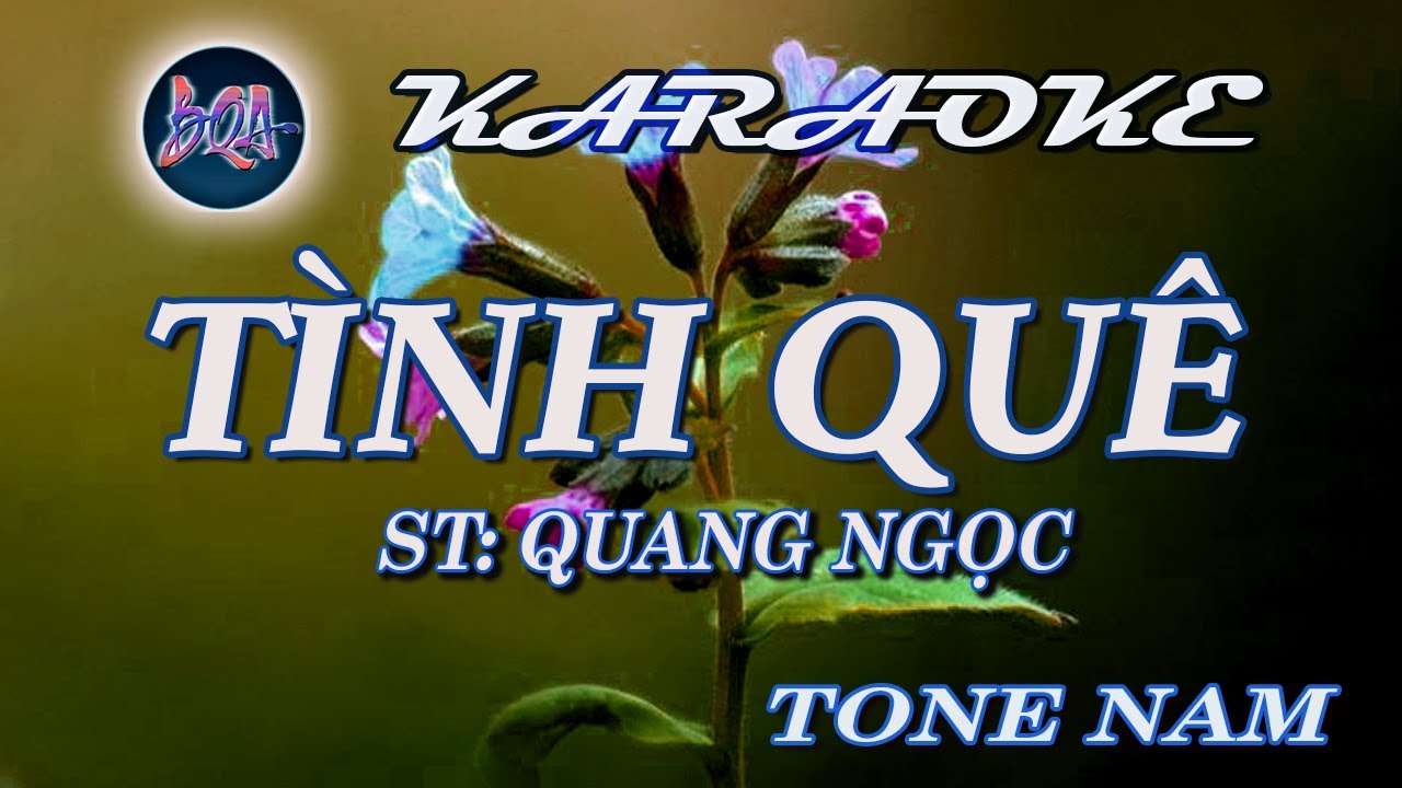 Tình quê - St:Quang Ngọc - Karaoke - tone Nam   [Bình Quân Anh]