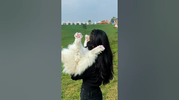 Beautiful 😍 And where do your pets hide their toys? #cat #cats #instapets