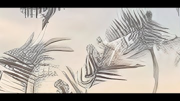 Ice Crystals in windows