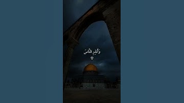 سورة ابراهيم|42-45|القارئ:#ماهر_المعيقلي #قران #quran #راحة_نفسية #قران_كريم #تلاوة #آية