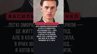 Василь Симоненко. Матері