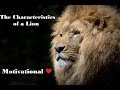 The Characteristics of a Lion - Motivational                  #Lion #TheLionKing #Leader #Leadership