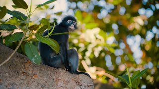 Adelaide Zoo