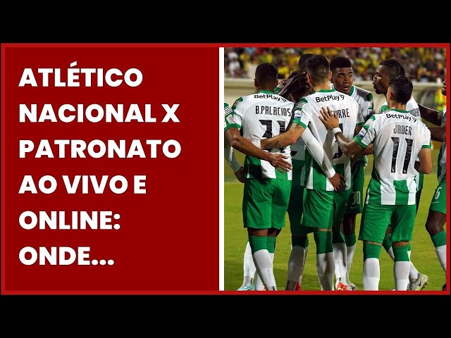 Olímpia x Patronato ao vivo e online, onde assistir, que horas é, escalação  e mais da Libertadores