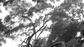 Jessie Casey Jared And Lauren