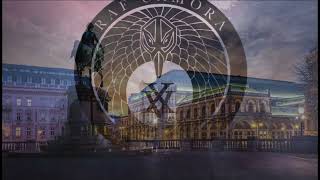 RAF Camora - Wien 432hz