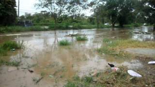 DSCF3160.AVI