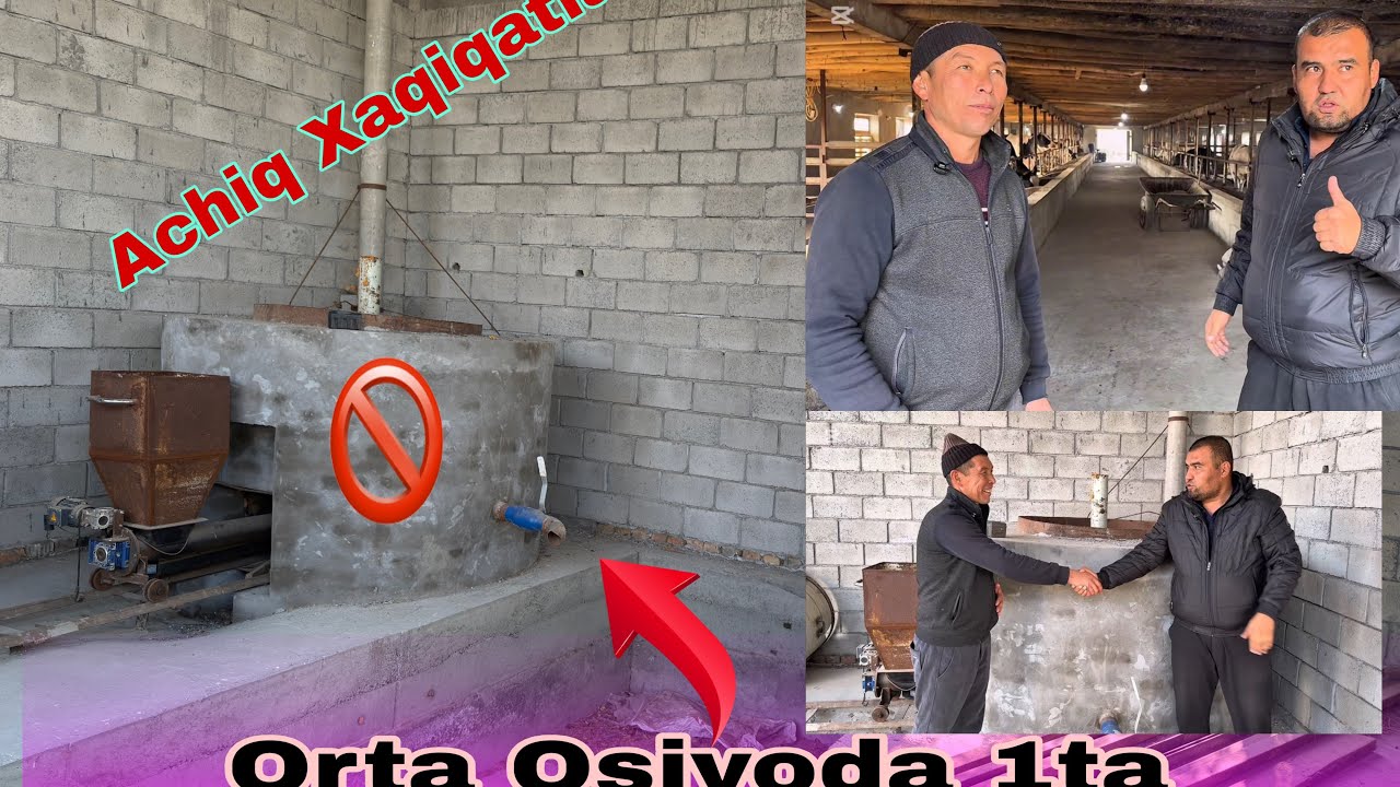 2000$ Долирга килнган Атала Козон Нега Ишлатилмади Хакикат Ошкор Болдди