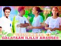 OSOO DUBBII ADDA HIN BAASIN MAALIIF JIREENYA KOO JEEQXU JETTEE ILILLIIN GALATAA QABATTE 