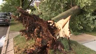 Chicago trees uprooted, thousands without power after derecho